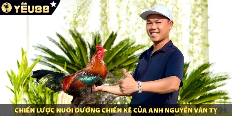 Chiến lược nuôi dưỡng chiến kê của anh Nguyễn Văn Tỵ