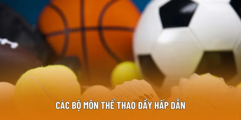 Các bộ môn thể thao đầy hấp dẫn
