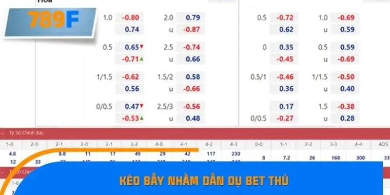 Kèo bẫy là gì và vì sao người chơi dễ mắc?