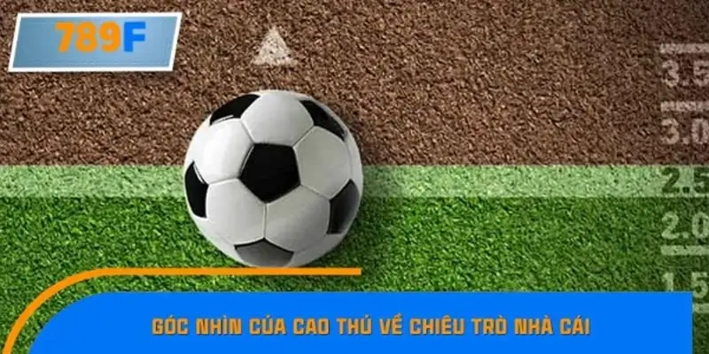 Phân tích kèo bẫy hôm nay – Góc nhìn từ chuyên gia